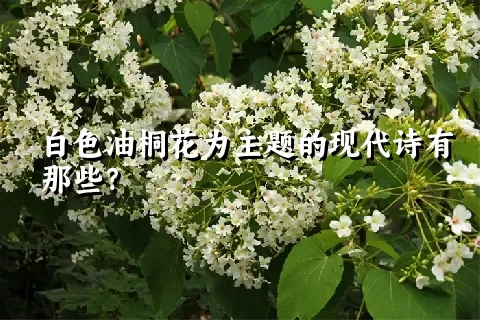 白色油桐花为主题的现代诗有那些？