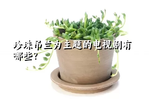 珍珠吊兰为主题的电视剧有哪些？