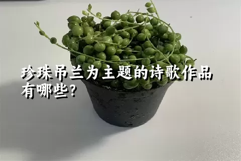 珍珠吊兰为主题的诗歌作品有哪些？