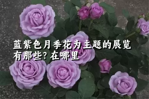 蓝紫色月季花为主题的展览有那些？在哪里