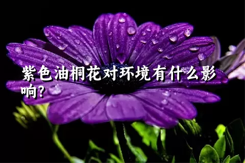 紫色油桐花对环境有什么影响？