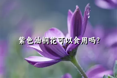 紫色油桐花可以食用吗？