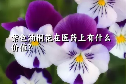 紫色油桐花在医药上有什么价值？