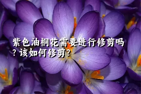 紫色油桐花需要进行修剪吗？该如何修剪？