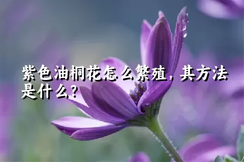 紫色油桐花怎么繁殖，其方法是什么？