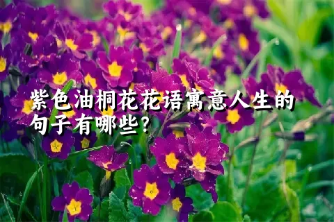 紫色油桐花花语寓意人生的句子有哪些？