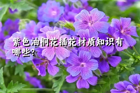 紫色油桐花插花材质知识有哪些？