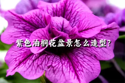 紫色油桐花盆景怎么造型？