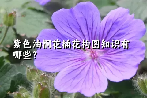 紫色油桐花插花构图知识有哪些？