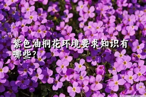 紫色油桐花环境要求知识有哪些？