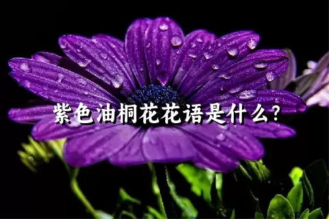 紫色油桐花花语是什么？