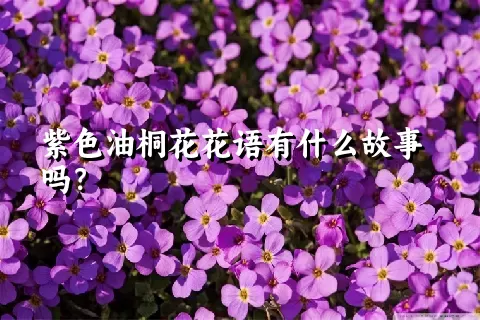 紫色油桐花花语有什么故事吗？