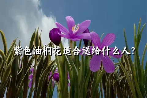 紫色油桐花适合送给什么人？