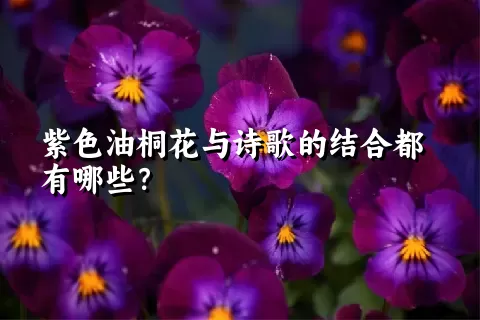 紫色油桐花与诗歌的结合都有哪些？