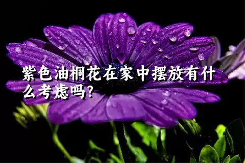 紫色油桐花在家中摆放有什么考虑吗？