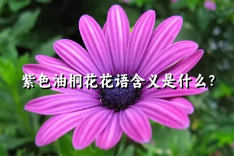 紫色油桐花花语含义是什么？