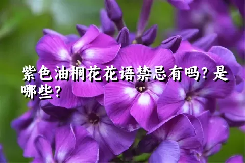 紫色油桐花花语禁忌有吗？是哪些？