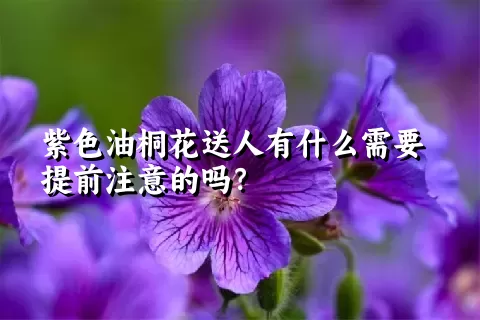 紫色油桐花送人有什么需要提前注意的吗？