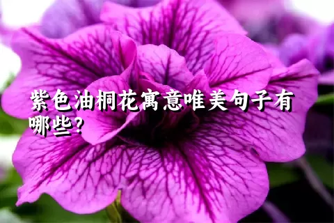 紫色油桐花寓意唯美句子有哪些？