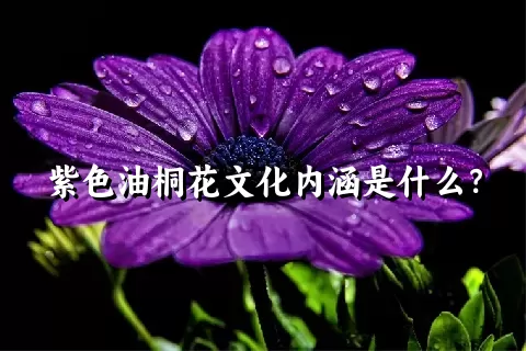 紫色油桐花文化内涵是什么？