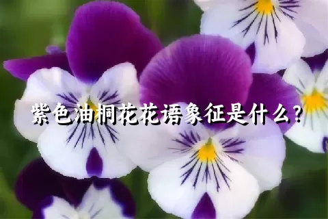 紫色油桐花花语象征是什么？