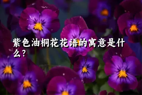 紫色油桐花花语的寓意是什么？