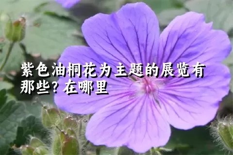 紫色油桐花为主题的展览有那些？在哪里