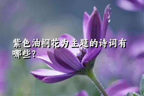 紫色油桐花为主题的诗词有哪些？