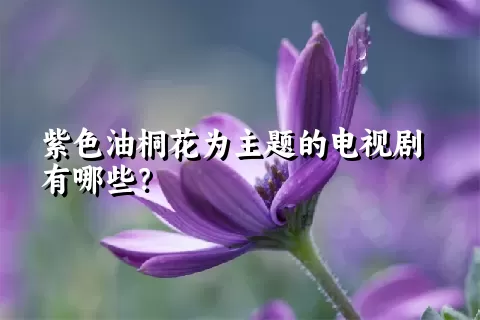 紫色油桐花为主题的电视剧有哪些？