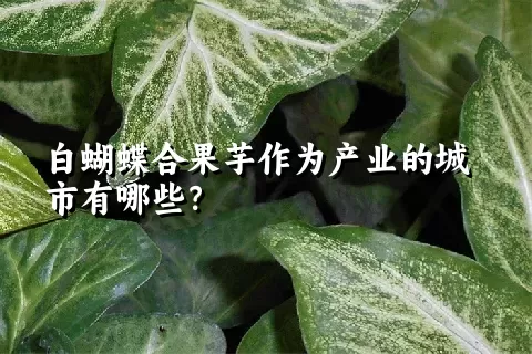 白蝴蝶合果芋作为产业的城市有哪些？