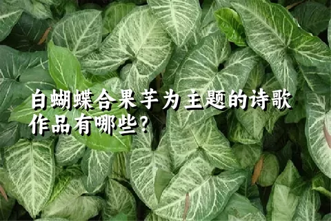 白蝴蝶合果芋为主题的诗歌作品有哪些？