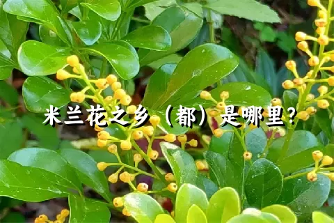 米兰花之乡（都）是哪里？