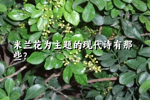 米兰花为主题的现代诗有那些？