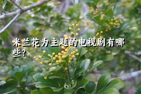 米兰花为主题的电视剧有哪些？