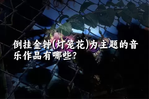 倒挂金钟(灯笼花)为主题的音乐作品有哪些？