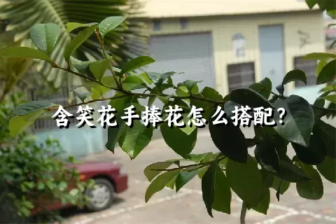 含笑花手捧花怎么搭配？