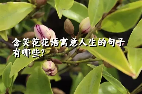 含笑花花语寓意人生的句子有哪些？