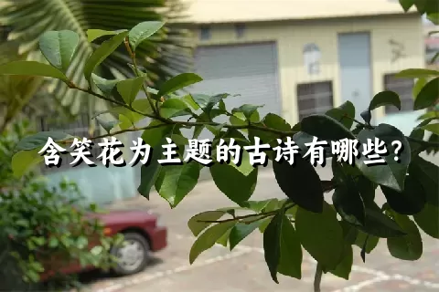 含笑花为主题的古诗有哪些？