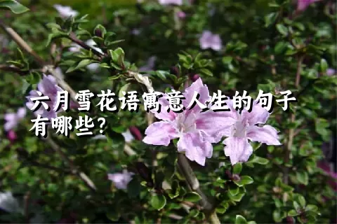 六月雪花语寓意人生的句子有哪些？