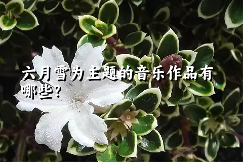 六月雪为主题的音乐作品有哪些？