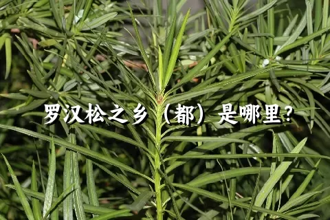 罗汉松之乡（都）是哪里？