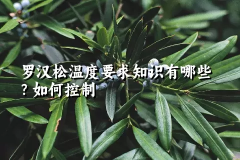 罗汉松温度要求知识有哪些？如何控制