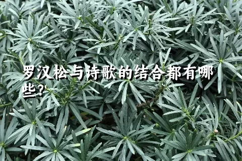 罗汉松与诗歌的结合都有哪些？