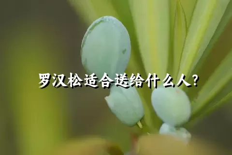 罗汉松适合送给什么人？