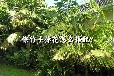 棕竹手捧花怎么搭配？