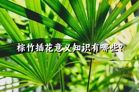 棕竹插花意义知识有哪些？