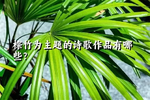 棕竹为主题的诗歌作品有哪些？