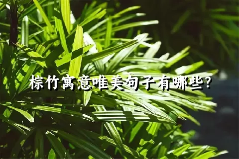 棕竹寓意唯美句子有哪些？