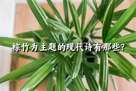 棕竹为主题的现代诗有那些？