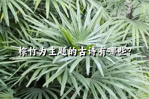 棕竹为主题的古诗有哪些？